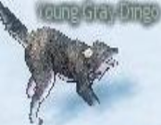 Mabinogi Monster Young Gray Dingo.png