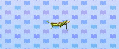 File:ACNL ricegrasshopper.png