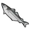 File:DogIsland whitestripedfish.png