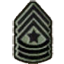 CoD MW2 Emblem SergeantMajor.png