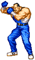 Real Bout Fatal Fury Special — StrategyWiki