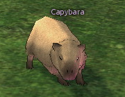 Mabinogi Monster Capybara.png