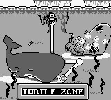 SML2 Turtle Zone.png