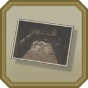 DGS2 icon Blossoming Attorney Crime Scene Photo.png