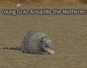 Mabinogi Monster Young Gray Armadillo.png