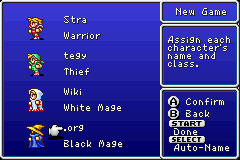 Final Fantasy 1 GBA Characters.png