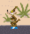 RR '85 coyote pogo.png