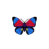 ACWW Agrias Butterfly.png