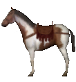 File:Mount&Blade horse Saddle Horse2.png