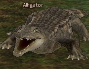 Mabinogi Monster Alligator.png