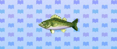 File:ACNL seabass.png