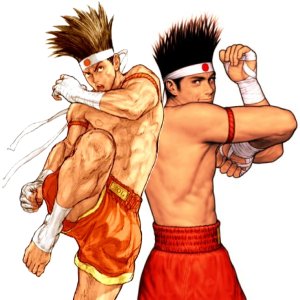 Fatal Fury/Joe — StrategyWiki  Strategy guide and game reference wiki