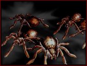 File:RE1 Enemy Spider.jpg