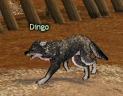 Mabinogi Monster Dingo.png