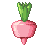 Drash Berry