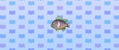 File:ACNL bluegill.png