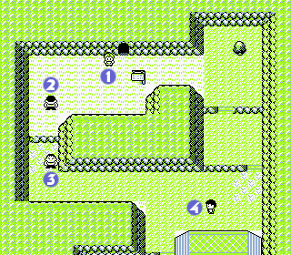 File:Pokemon RBY Route 10 South.png