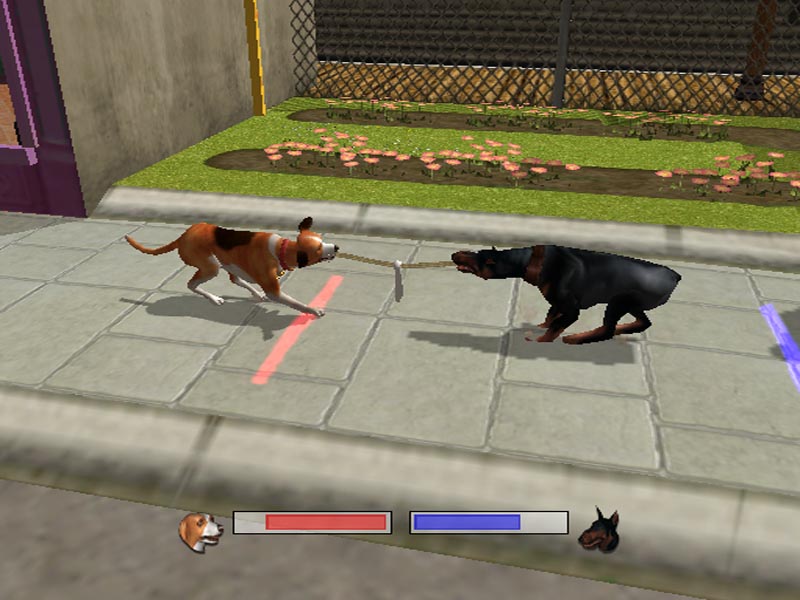 Компьютерная игра собаки. Dogs Life ps2. Dogz (ps2). Игра догс 2 собака. Компьютерная игра с собакой.