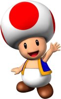 File:Mario Kart Wii toad.jpg