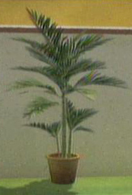 File:Dead Rising another plant.jpg