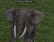 File:Mabinogi Monster Young Elephant (Brown).png