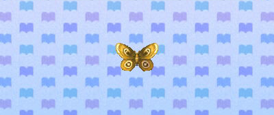 ACNL moth.png