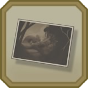 DGS2 icon Incriminating Photo.png