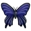 File:DogIsland blackswallowtailbutterfly.png