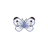 ACWW Common Butterfly.png