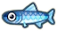 File:ACNH Anchovy.png