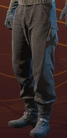 File:SWS-Cosmetic-FlightTechPants.png