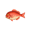 ACWW Red Snapper.png