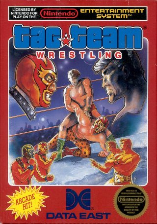 File:Tag Team Wrestling NES box.jpg
