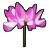 File:DogIsland lotusflower.png