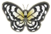 ACNH Paper Kite Butterfly.png