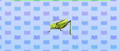 ACNL grasshopper.png