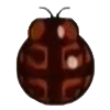 File:DogIsland turtlebackladybug.png