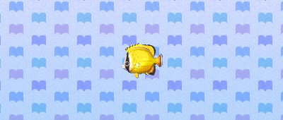 File:ACNL butterflyfish.png