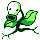 File:Pokemon YEL Bellsprout.png
