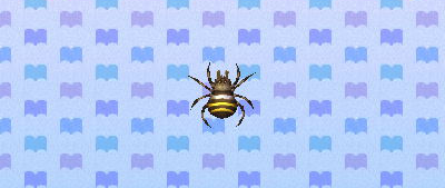 File:ACNL spider.png