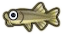 ACNH Nibble Fish.png