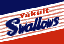 File:SS91 Yakult Swallows Flag.png