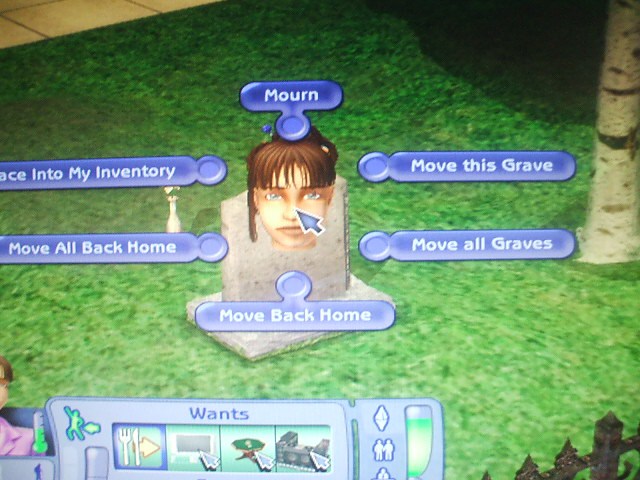 File:TS2N Grave Interactions.jpg