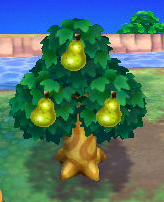 File:ACNL peartree.png