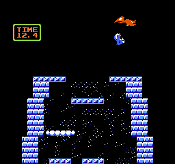 Ice Climber Bonus.png