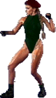 SFTM Cammy.png