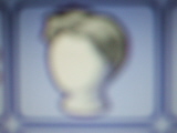 File:TS2N Grey Hair Icon.jpg
