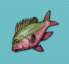 Aquaria fish-03.png
