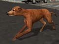 Dog's Life Greyhound.jpg