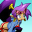 Shantae Half-Genie Hero achievement SPF 250.jpg